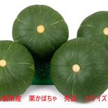 早い者勝ち限定３名！大特価セール！島根県産　訳なし栗かぼちゃ（5㌔） かぼちゃ　５㌔ 果物や野菜などのお取り寄せ宅配食材通販産地直送アウル