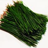 厳選　松の葉　1000g　松葉茶　松葉サイダー　入浴剤　アロマ 1000g 果物や野菜などのお取り寄せ宅配食材通販産地直送アウル