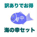 (中)訳あり★お魚お得セット5P入り 【中】訳あり品詰め合わせ5P 果物や野菜などのお取り寄せ宅配食材通販産地直送アウル