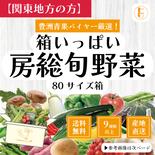 【関東へ配送の方】80サイズ箱いっぱい房総旬野菜詰め合わせ（80サイズ箱） 80サイズ箱いっぱい 果物や野菜などのお取り寄せ宅配食材通販産地直送アウル