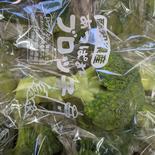 組み合わせ野菜セット ブロッコリー2本、サニーレタス2株、ジャガイモ1kg、ダイコン 果物や野菜などのお取り寄せ宅配食材通販産地直送アウル