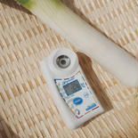 糖度15度以上　千葉県産 長ネギ 甘い 美味い 30本　2L以上 3.0kg 果物や野菜などのお取り寄せ宅配食材通販産地直送アウル