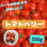 【濃厚‼️】果肉たっぷり！ハートのミニトマト♡トマトベリー（500g） トマトベリー（500グラム） 果物や野菜などのお取り寄せ宅配食材通販産地直送アウル
