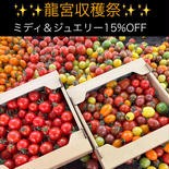 龍宮ミディ＆ジュエリー 2キロ 果物や野菜などのお取り寄せ宅配食材通販産地直送アウル