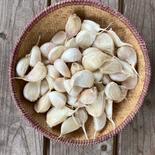 【送料込メール便】自然栽培　乾燥にんにくばら　500ｇ 500g 果物や野菜などのお取り寄せ宅配食材通販産地直送アウル