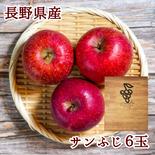 サンふじ6玉　ギフトボックス　りんご　【2025先行予約】【信州長野県産】 6玉 果物や野菜などのお取り寄せ宅配食材通販産地直送アウル
