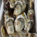 一口サイズ海峡牡蠣 2.5kg（20個前後） 果物や野菜などのお取り寄せ宅配食材通販産地直送アウル