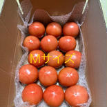 昔ながらのトマト🍅80サイズ箱詰め(M玉) 80サイズ箱詰め(M玉) 果物や野菜などのお取り寄せ宅配食材通販産地直送アウル