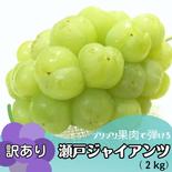 【訳有り】瀬戸ジャイアンツ2kg 瀬戸ジャイアンツ2kg 果物や野菜などのお取り寄せ宅配食材通販産地直送アウル