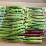 自然栽培オクラ500g4種食べ比べセット 500g 果物や野菜などのお取り寄せ宅配食材通販産地直送アウル