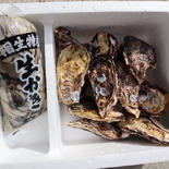 【生食可能】今が旬！生牡蠣　殻付き剥き身セット殻付き2キロ　剥き身500ｇ×2 殻付き2キロ　剥き身500ｇ×2 果物や野菜などのお取り寄せ宅配食材通販産地直送アウル