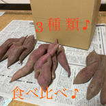 3種食べ比べ♪さつまいも無選別 1.5kg 果物や野菜などのお取り寄せ宅配食材通販産地直送アウル