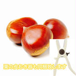 熊本県産 栗 プレミアム 利平栗【箱込み約2kg入り 】栗の皮むき器付き 箱込み約2kg(栗の皮むき器付き) 果物や野菜などのお取り寄せ宅配食材通販産地直送アウル