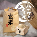 【令和6年産】マンゲツモチ 30kg 玄米 30kg 果物や野菜などのお取り寄せ宅配食材通販産地直送アウル