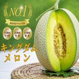 👑シーズン年に数十個しか実らないキングダムメロン👑海外セレブが指名してまで食べたいメロン王国が誇る渥美半島ブランド最高級最高峰【7月上旬発送】 キングダムメロン1個 果物や野菜などのお取り寄せ宅配食材通販産地直送アウル