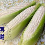 まとめ買いでめちゃ得！絶品「はたコーン」【アウルの日】 とうもろこし20本入り(1本あたり400g前後) 果物や野菜などのお取り寄せ宅配食材通販産地直送アウル