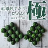 嵯峨峡すだち　〜極〜 1kg 果物や野菜などのお取り寄せ宅配食材通販産地直送アウル