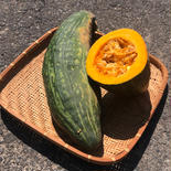 かぼちゃ『ながちゃん』 約5kg（3~5個） 果物や野菜などのお取り寄せ宅配食材通販産地直送アウル