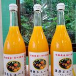 【お中元　夏ギフト】はまださんちの清見ジュース（ストレート）6本セット　完売 720ml×6本 果物や野菜などのお取り寄せ宅配食材通販産地直送アウル