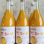 はまださんちの不知火ジュース（ストレート）6本セット 720ml×6本 果物や野菜などのお取り寄せ宅配食材通販産地直送アウル