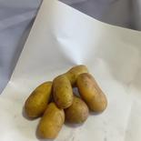 【無農薬】旬の新じゃがメークイン3kg【農園直送】 メークイン 約3kg（目安20個前後） ※大小混合でお届けする場合があります。 果物や野菜などのお取り寄せ宅配食材通販産地直送アウル
