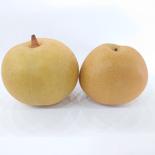 甘酸っぱい梨が好き！豊水・新美月 詰め合わせ 約3kg 2種合計 約3kg(5〜9個入り) 果物や野菜などのお取り寄せ宅配食材通販産地直送アウル