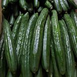 朝採り　きゅうり　50本　MからLサイズ　キュウリ 50本 果物や野菜などのお取り寄せ宅配食材通販産地直送アウル