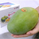 キーツマンゴー（オーガニック）（期間限定） 優品1玉(約1kg) 果物や野菜などのお取り寄せ宅配食材通販産地直送アウル