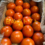 ちょっと甘いトマト★80サイズ箱詰め 80サイズ箱詰め 果物や野菜などのお取り寄せ宅配食材通販産地直送アウル