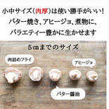 【4周年限定】やまのこ農園生椎茸小中1キロに400g 増量 1キロ 果物や野菜などのお取り寄せ宅配食材通販産地直送アウル
