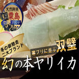 🐟海の幸の代表格ヤリイカ🐟【2025年2月中下旬】発送☆日本海の恩恵を最大限享受した粟島ブランド天然国産ヤイリカ刺身用カット【アウルの日】🐟冬ギフト🐟 ヤリイカ刺身約200g 果物や野菜などのお取り寄せ宅配食材通販産地直送アウル