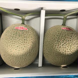 【限定50個】くまもとアールスメロン 赤肉 2玉入り 合計3.4kg以上 秀品贈答規格　限定販売 1.7kg✖️2玉　赤肉(3.4㎏以上) 果物や野菜などのお取り寄せ宅配食材通販産地直送アウル