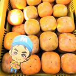 【訳ありセール】まーくん家のたねなし柿 2キロ箱 2キロ箱 果物や野菜などのお取り寄せ宅配食材通販産地直送アウル
