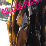 発送日に収穫致します‼︎ 鮮度抜群　南三陸志津川産　生ワカメ嬉しい茎付き　5kg 5kg 果物や野菜などのお取り寄せ宅配食材通販産地直送アウル