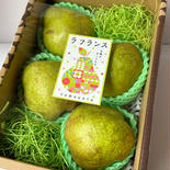 山形特産ラフランス【2キロ大玉5〜6L】 2キロ 果物や野菜などのお取り寄せ宅配食材通販産地直送アウル