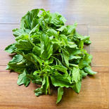 本格的なエスニック料理に欠かせないホーリーバジル　ガパオ 1kg 果物や野菜などのお取り寄せ宅配食材通販産地直送アウル
