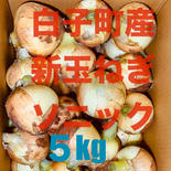 白子町産 新玉ねぎ（ソニック） 新玉ねぎ ソニック 5kg 果物や野菜などのお取り寄せ宅配食材通販産地直送アウル