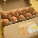 平飼い有精卵【60個】 10個入り×6パック 果物や野菜などのお取り寄せ宅配食材通販産地直送アウル