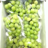 【訳有り】シャインマスカット2kg 2ｋｇ 果物や野菜などのお取り寄せ宅配食材通販産地直送アウル