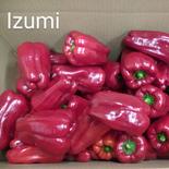 物価高騰に一役！　規格外　赤　4Kg 4Kg 果物や野菜などのお取り寄せ宅配食材通販産地直送アウル
