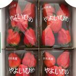 【特大・完熟】群馬県産『やよいひめ』300g×8パック入り 2.4kg(300g×8パック) 果物や野菜などのお取り寄せ宅配食材通販産地直送アウル