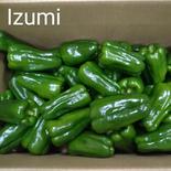 物価高騰、時短に一役！！B規格　3L〜4L 4Kg 果物や野菜などのお取り寄せ宅配食材通販産地直送アウル