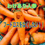 わけあり人参。のぐちファーム安曇野産 80サイズ 果物や野菜などのお取り寄せ宅配食材通販産地直送アウル