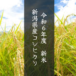 【新米】　令和６年産　コシヒカリ　５キロ ５キロ 果物や野菜などのお取り寄せ宅配食材通販産地直送アウル