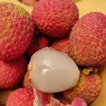 生ライチ　新品種 350ｇ 果物や野菜などのお取り寄せ宅配食材通販産地直送アウル