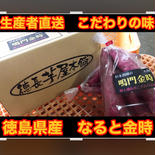 杉本農園　鳴門金時　2L以上　大きいさつまいも　洗いあり 5kg 果物や野菜などのお取り寄せ宅配食材通販産地直送アウル