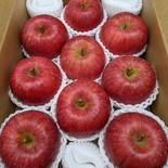 熟成進む「サンふじ」秋田県横手市産　特秀品2Lサイズ大玉9個入 約3キロ　9個入り　2Ｌサイズ(1個350g前後) 果物や野菜などのお取り寄せ宅配食材通販産地直送アウル