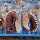 なまら太い ミズダコボイル足   1.28kg ミズダコボイル足  1.28kg 果物や野菜などのお取り寄せ宅配食材通販産地直送アウル