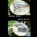 阿蘇から届く　湧水やまめ　20匹セット(10匹串あり・10匹串なし) 20匹(串つき10匹・串なし10匹) 果物や野菜などのお取り寄せ宅配食材通販産地直送アウル