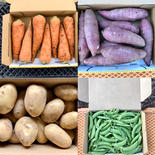 【鹿児島産】80甘塩野菜セット4品目^_^ 箱込み4キロ前後^_^ 果物や野菜などのお取り寄せ宅配食材通販産地直送アウル